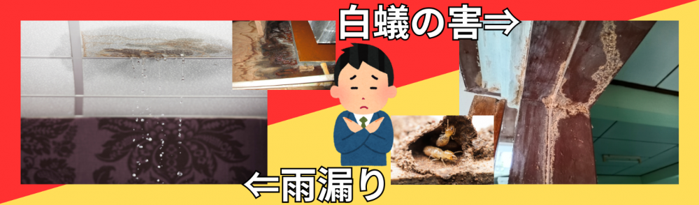 白蟻の害
